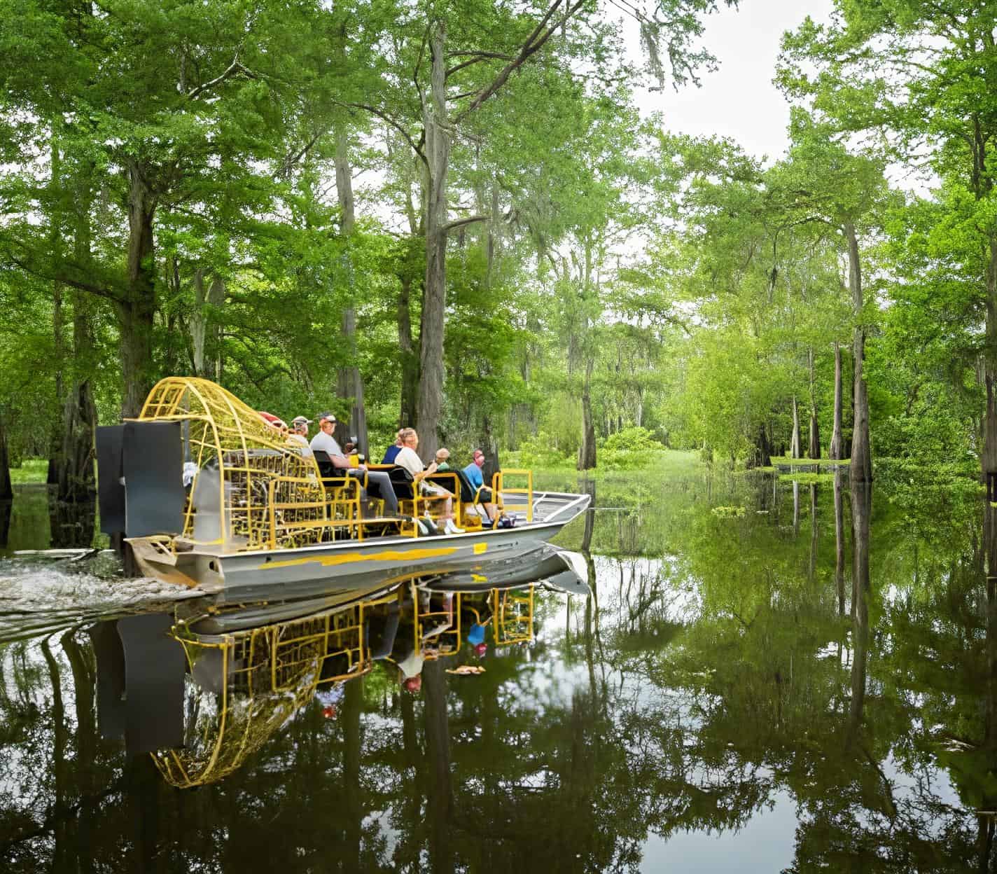 A Louisiana swamp tour drifts through cypress forests, still waters, and the haunting beauty of the bayou