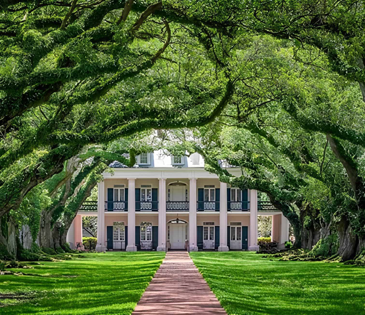 Oak Alley’s grand oak-lined approach captures the scale, beauty, and layered history of Louisiana’s Great River Road
