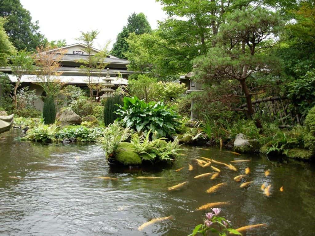 A serene Japanese garden frames this remote hotels escape with still water, koi, and quiet ryokan elegance. Image Courtesy: HAKONE TAKUMI no YADO YOSHIMATSU, Japan