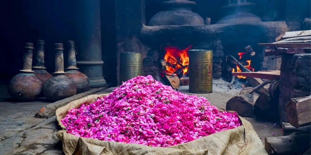Making of Rose Water. Image Courtesy: shri.ji.fragrance, Instagram
