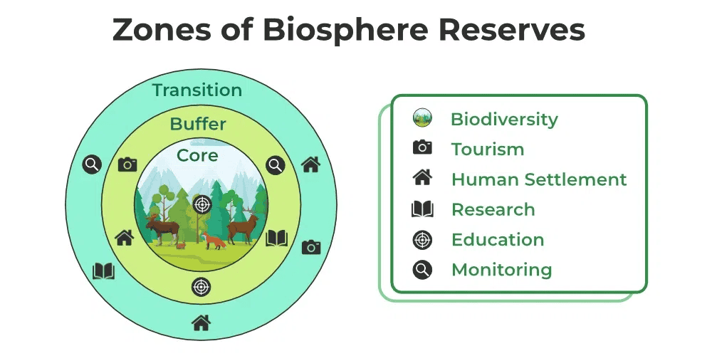 Zones of Biosphere Reserves. Image courtesy: geeksforgeeks