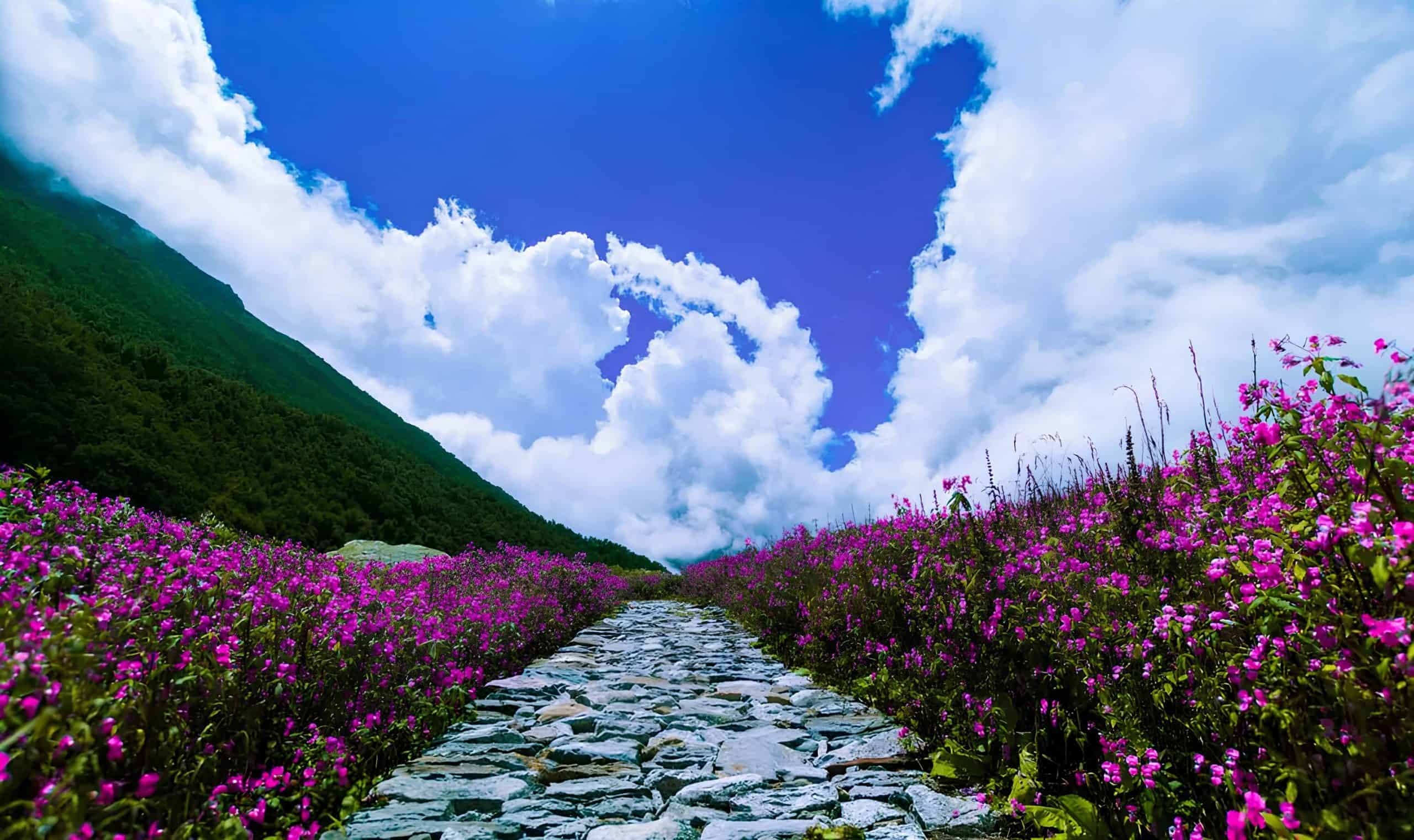 Valley of Flowers National Park, Uttarakhand. Image courtesy: rethinking the future