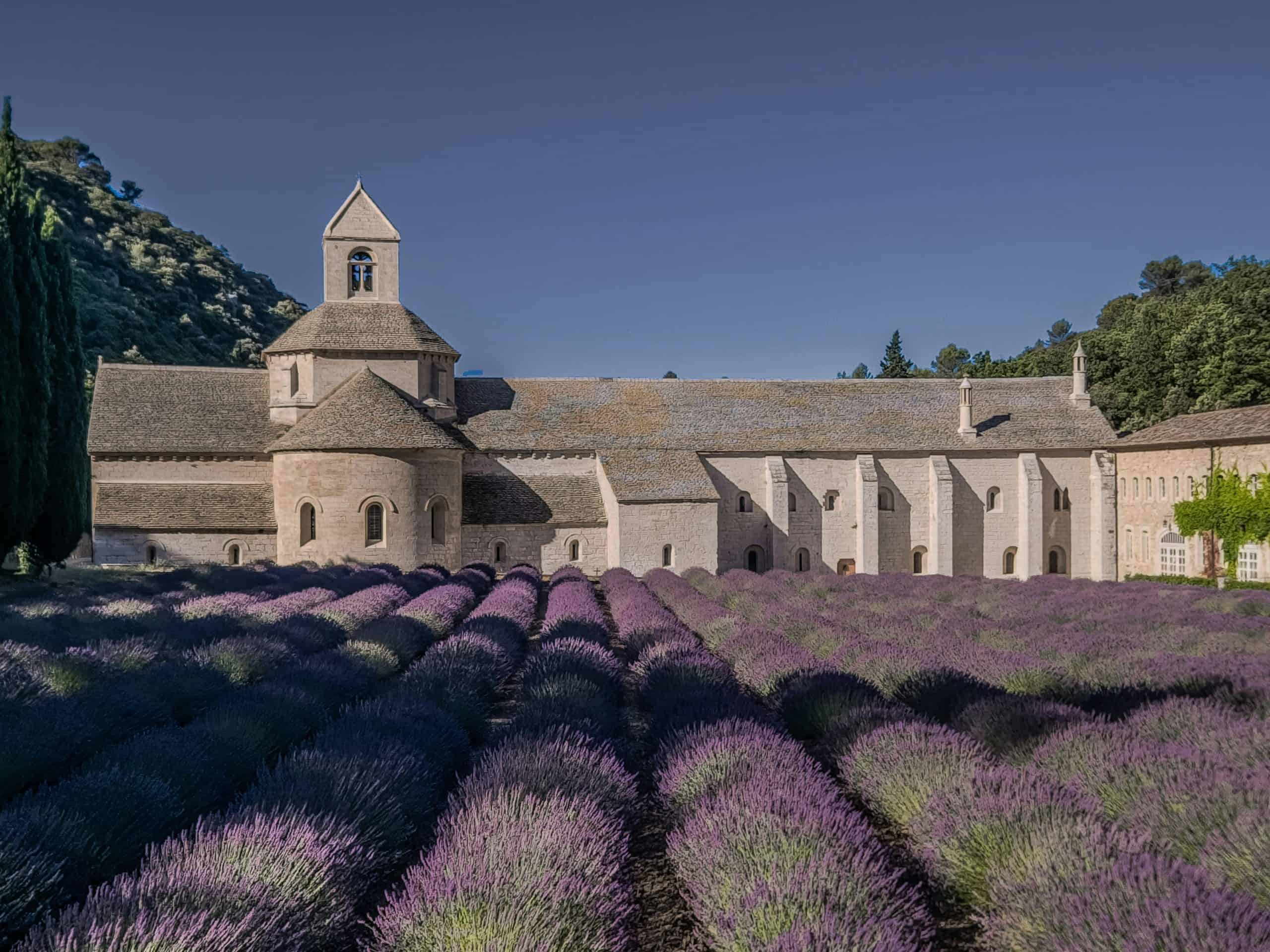 Grasse in southern France is celebrated as the grande dame of the world. Image courtesy: Jacqu, Pexels