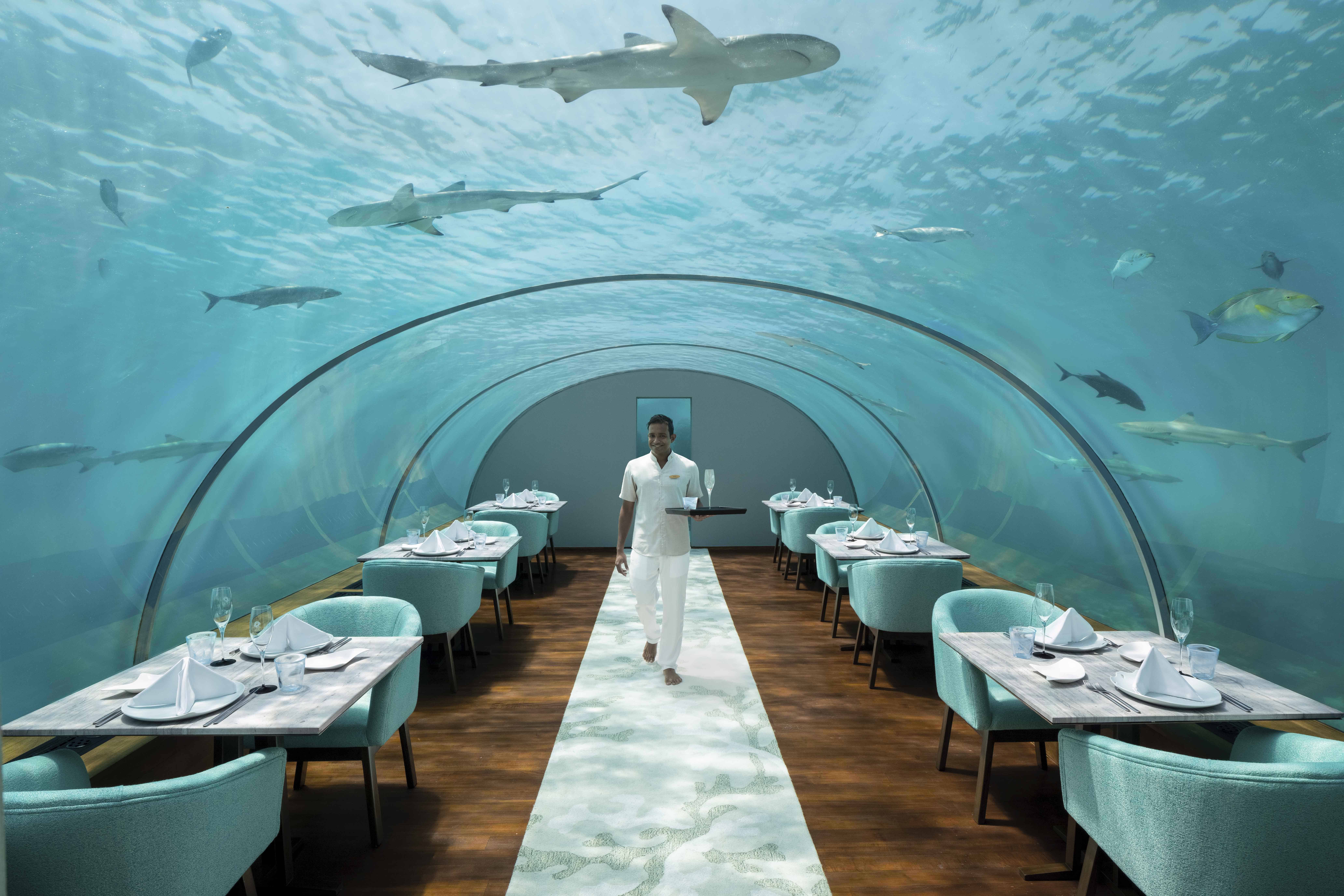 Ithaa Undersea Restaurant, Conrad Maldives Rangali Island