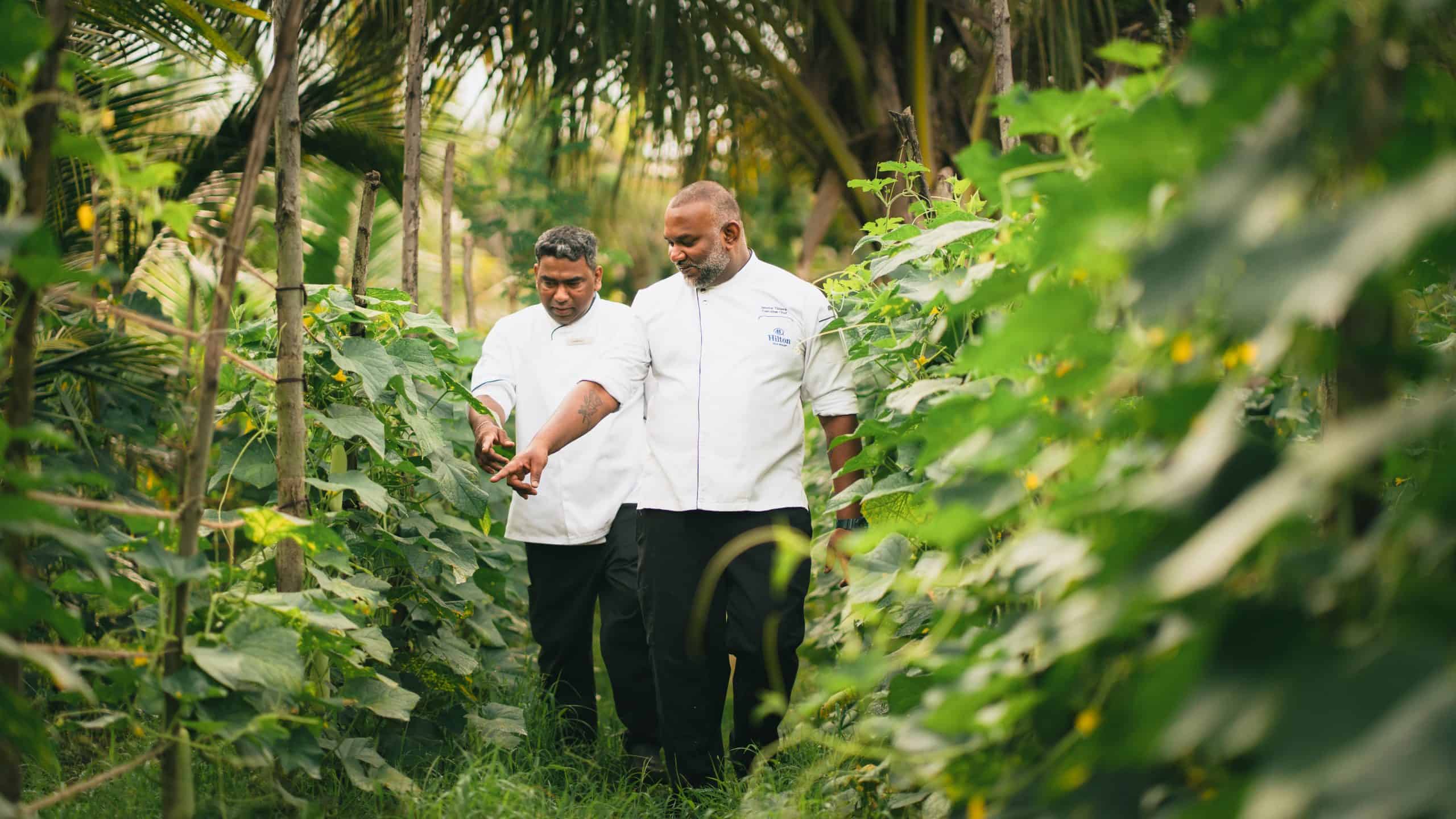 Hilton Yala Resort, guided by strong ESG (Environmental, Social, and Governance) principles