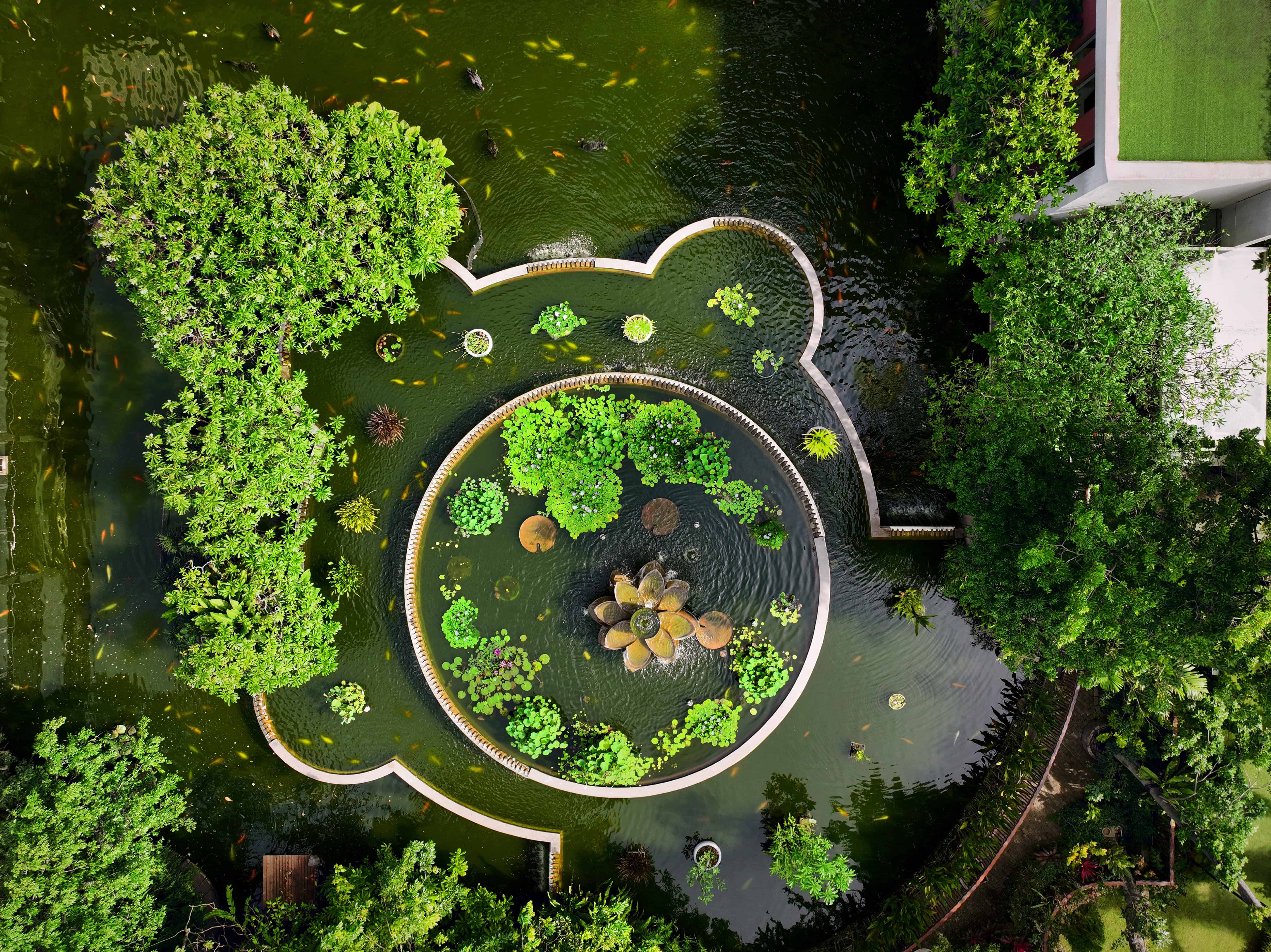 Lotus Pond, Hilton Colombo