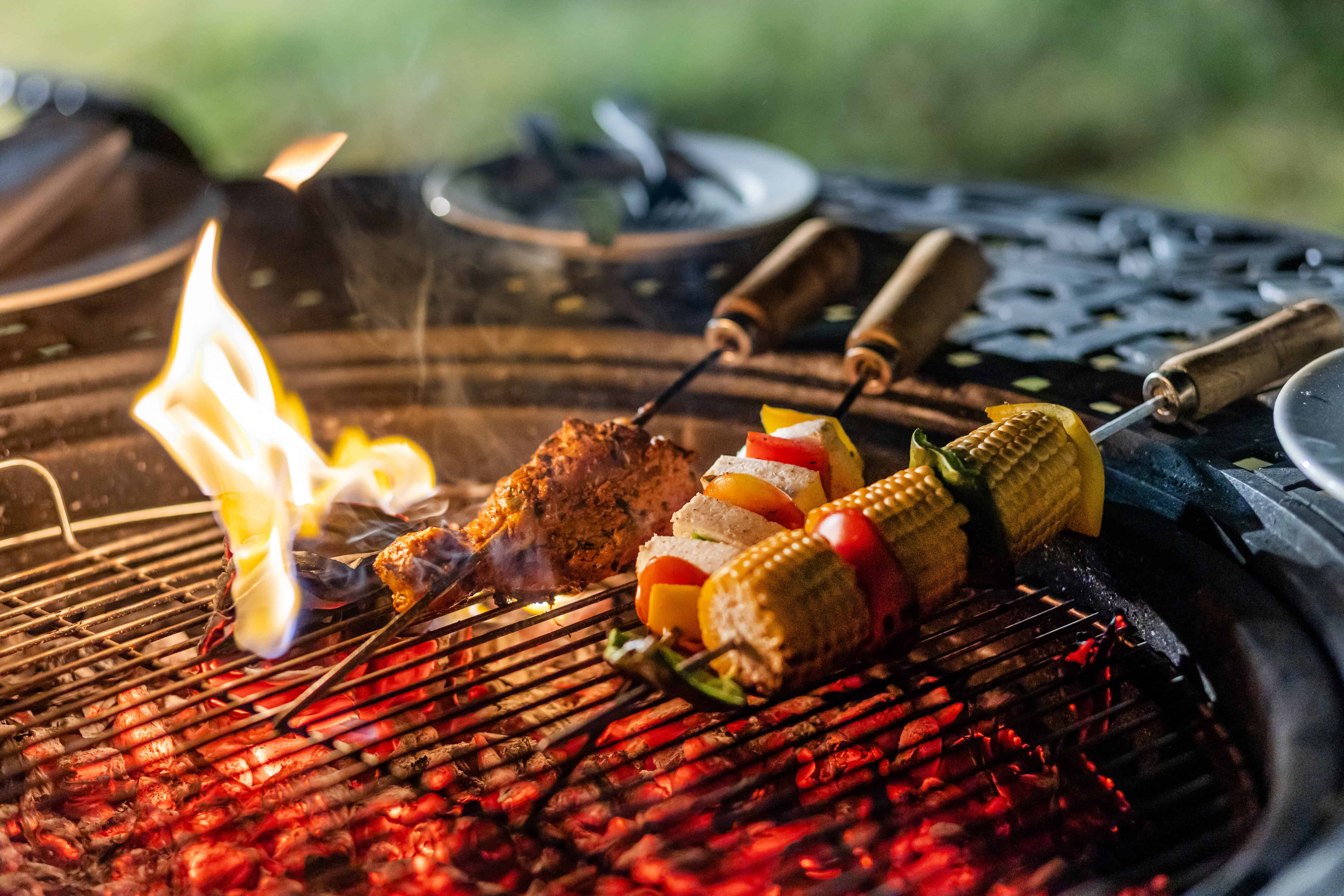 Outdoor barbeque, Sterling Tipeshwar