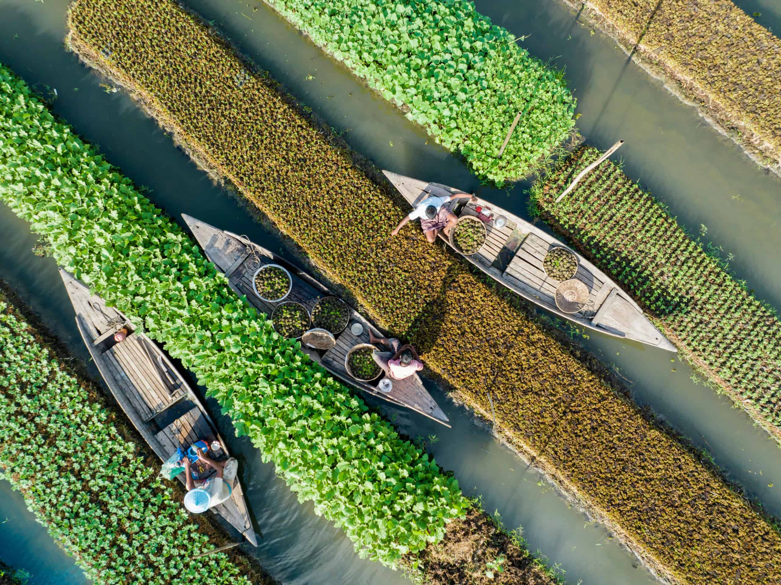 Future Farms: Smart Agriculture for the Future  Image Courtesy: Mostafijur Rahman Nasim via Unsplash