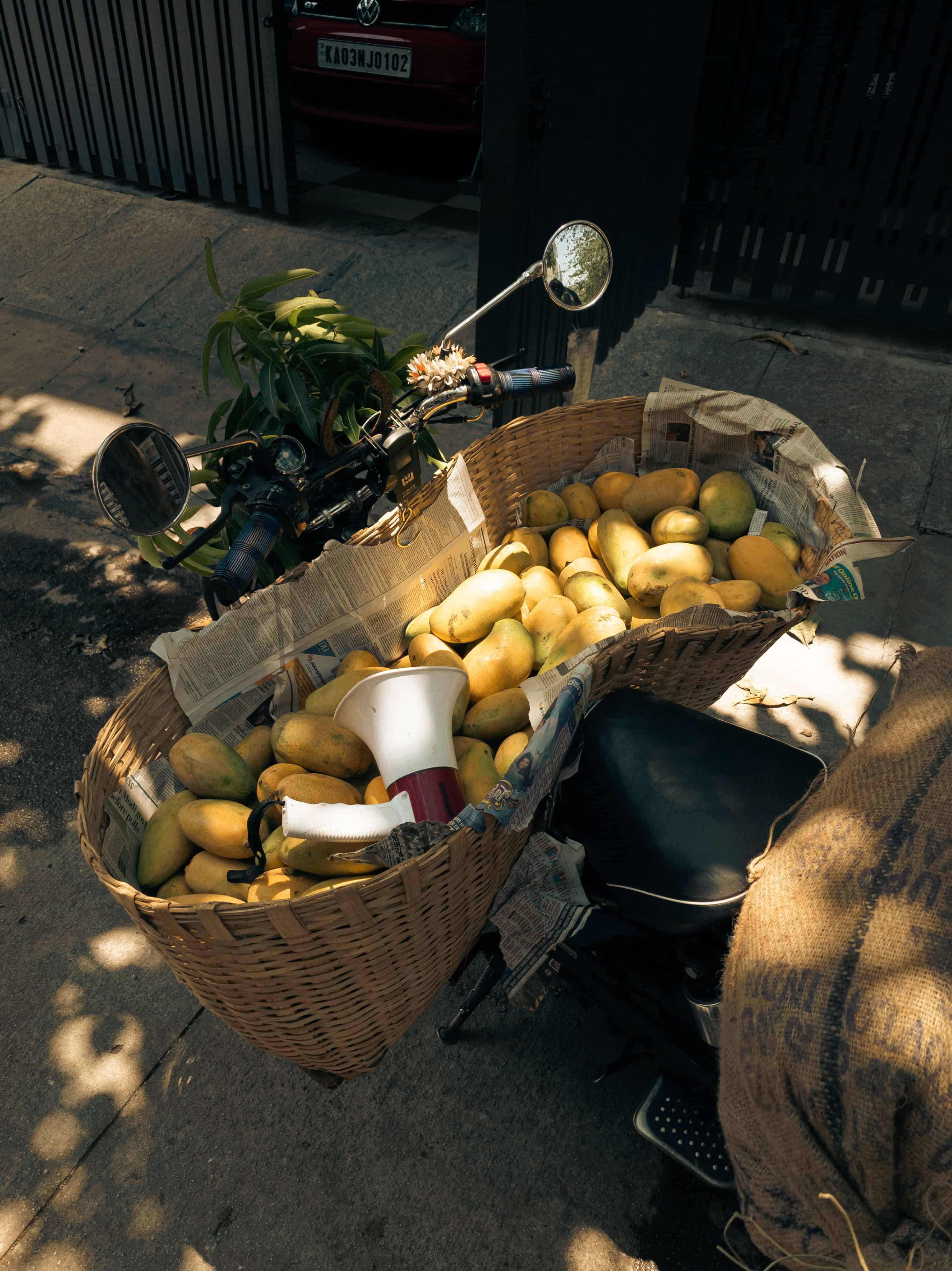 India’s mango is not one flavour or one story. It is a living archive, ripening each summer briefly, asking to be tasted before it disappears. Image courtesy: Sreeraj R, Pexels