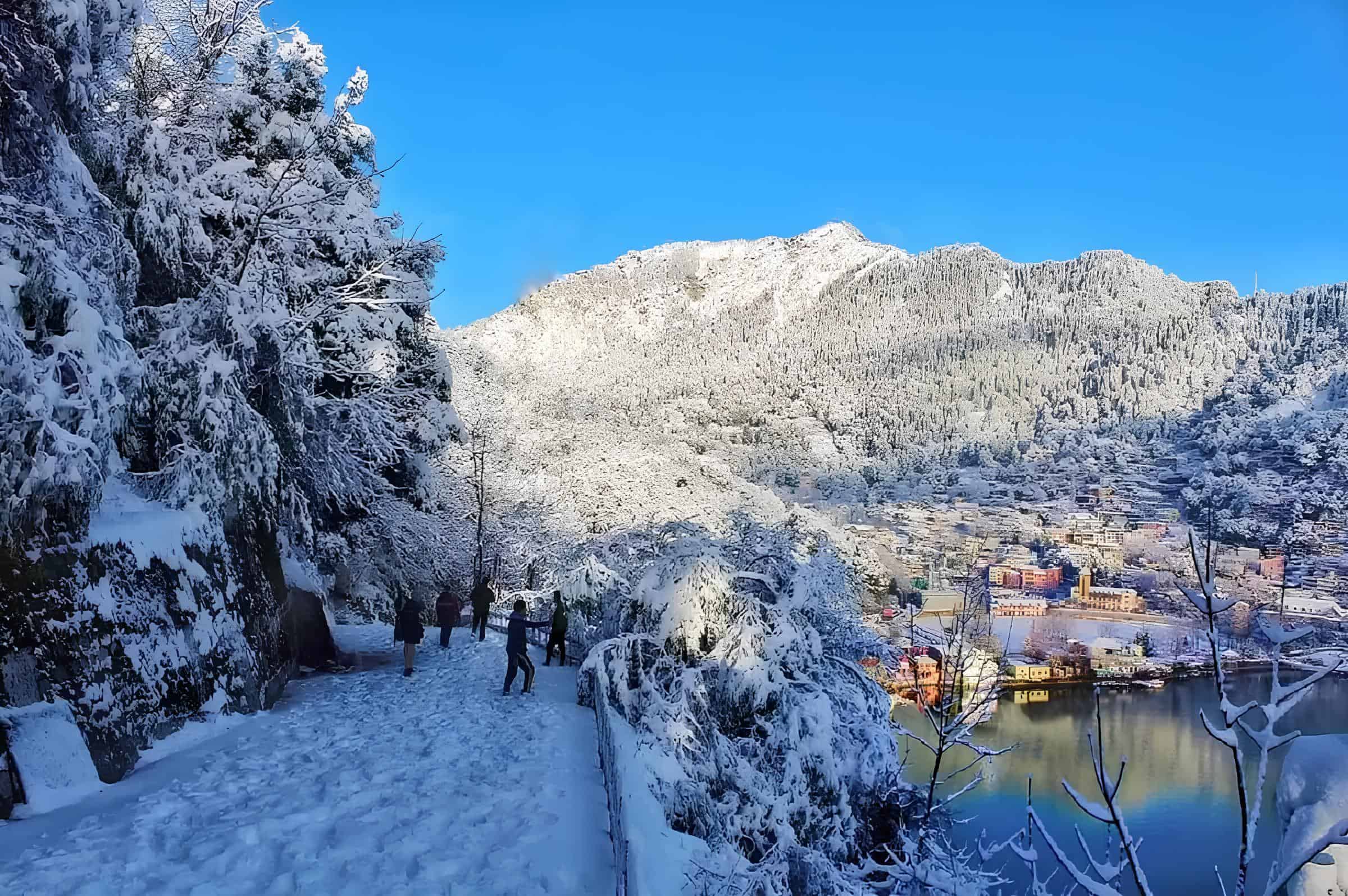 Snow View Point