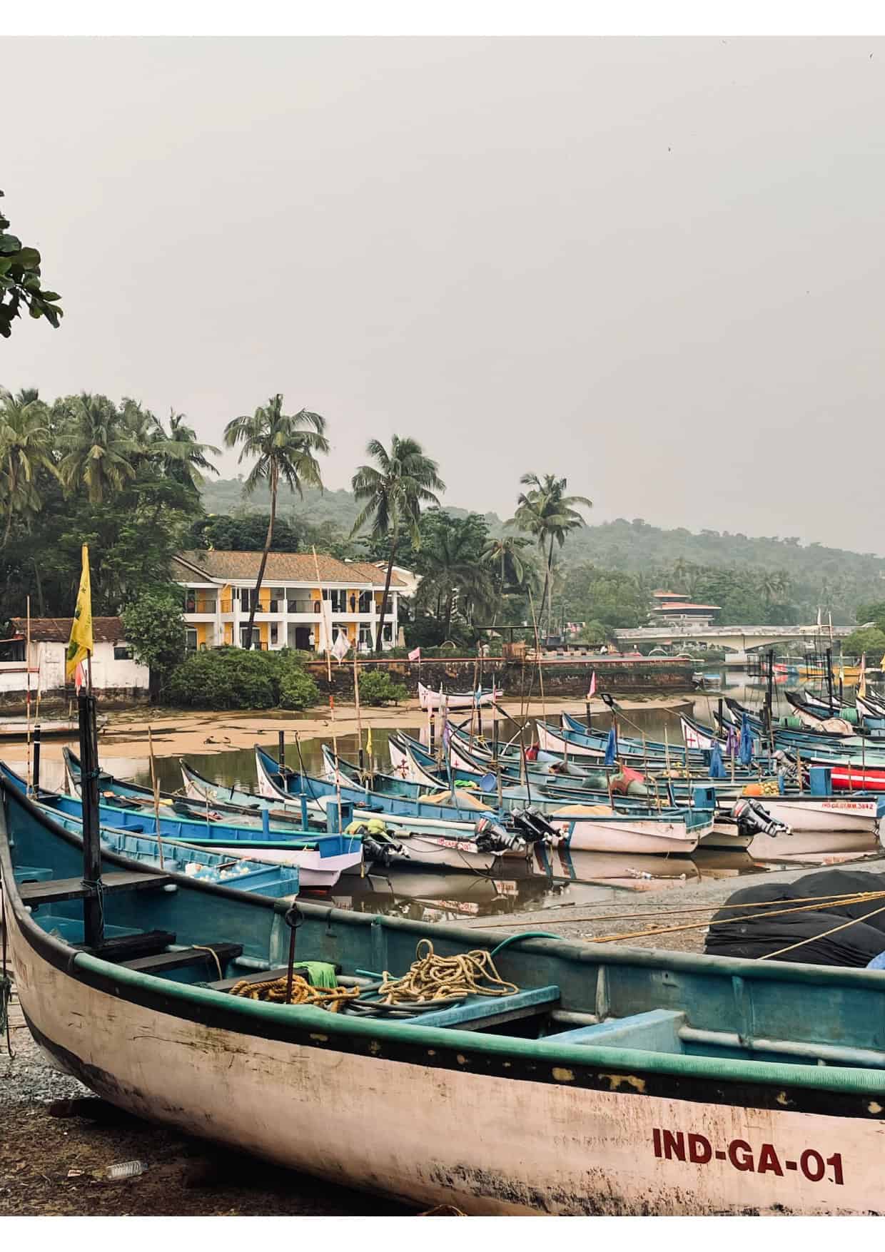 Village life in Goa