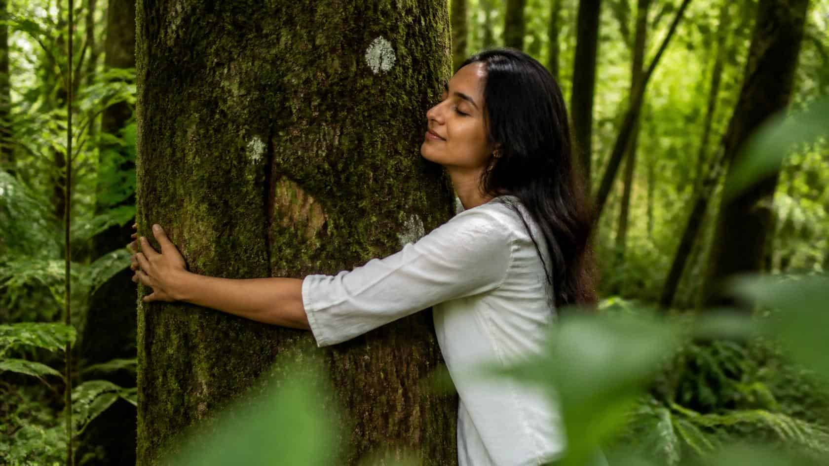 Nature Led Restorations at Sterling Wayand