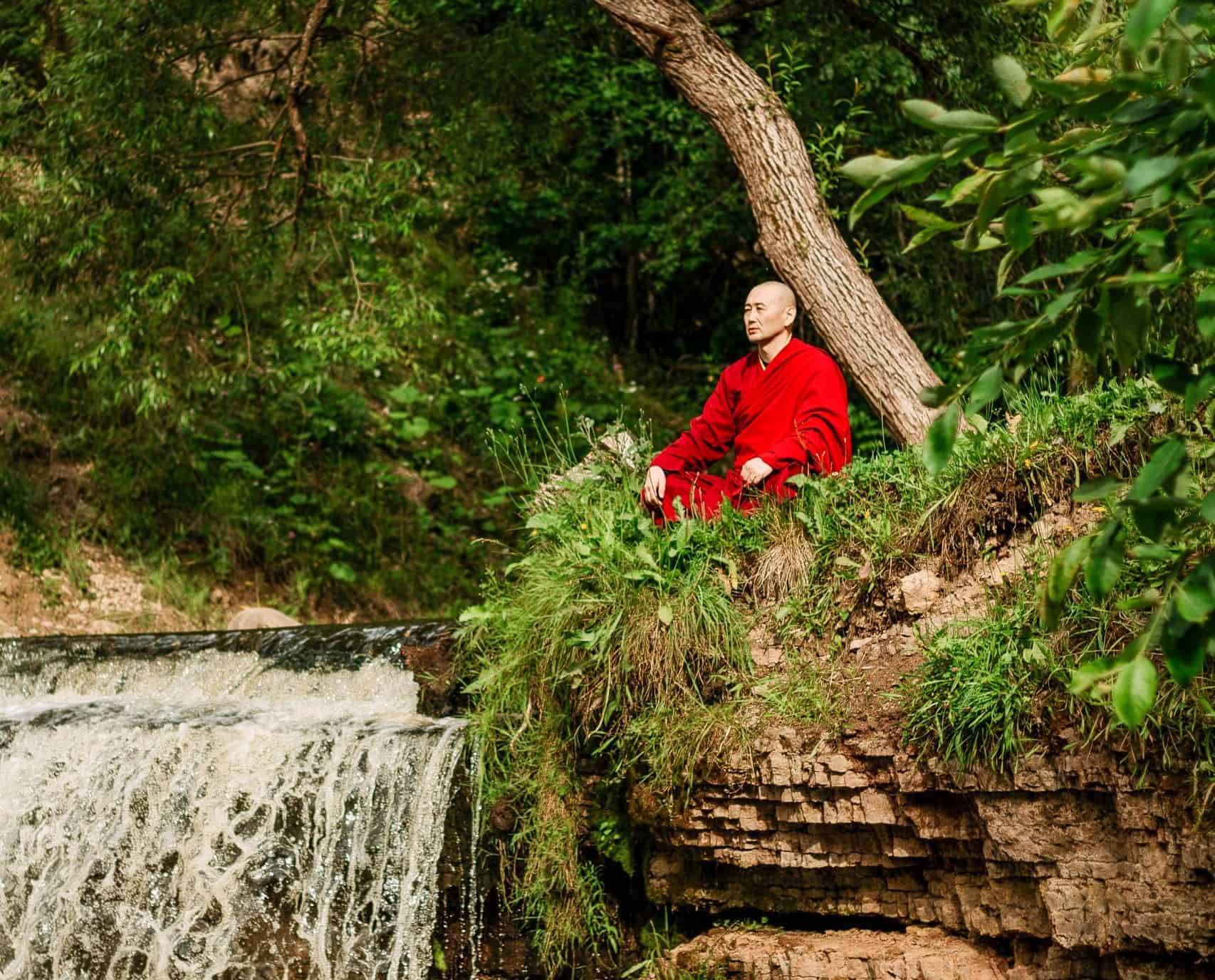 Meditating in the midst of nature. Image Courtesy: cottonbro studio via Pexels