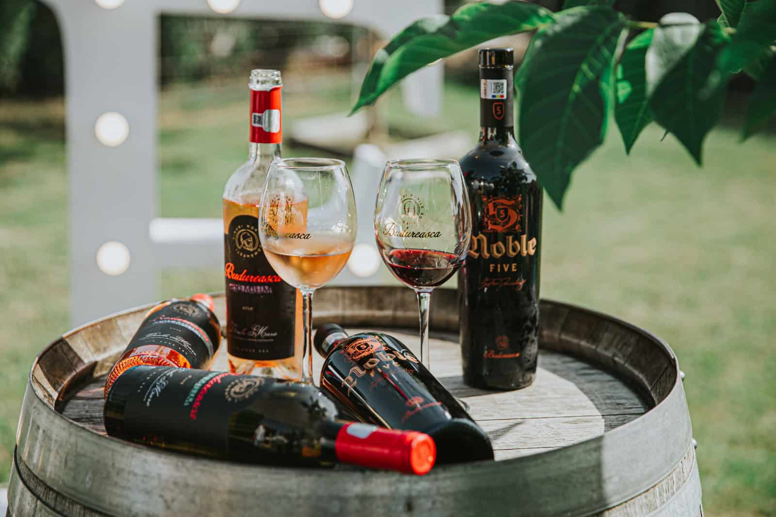 Private appointments and small family estates allow travellers to move beyond the busy tasting-room circuit. Image courtesy: Patricia Beliga, Pexels