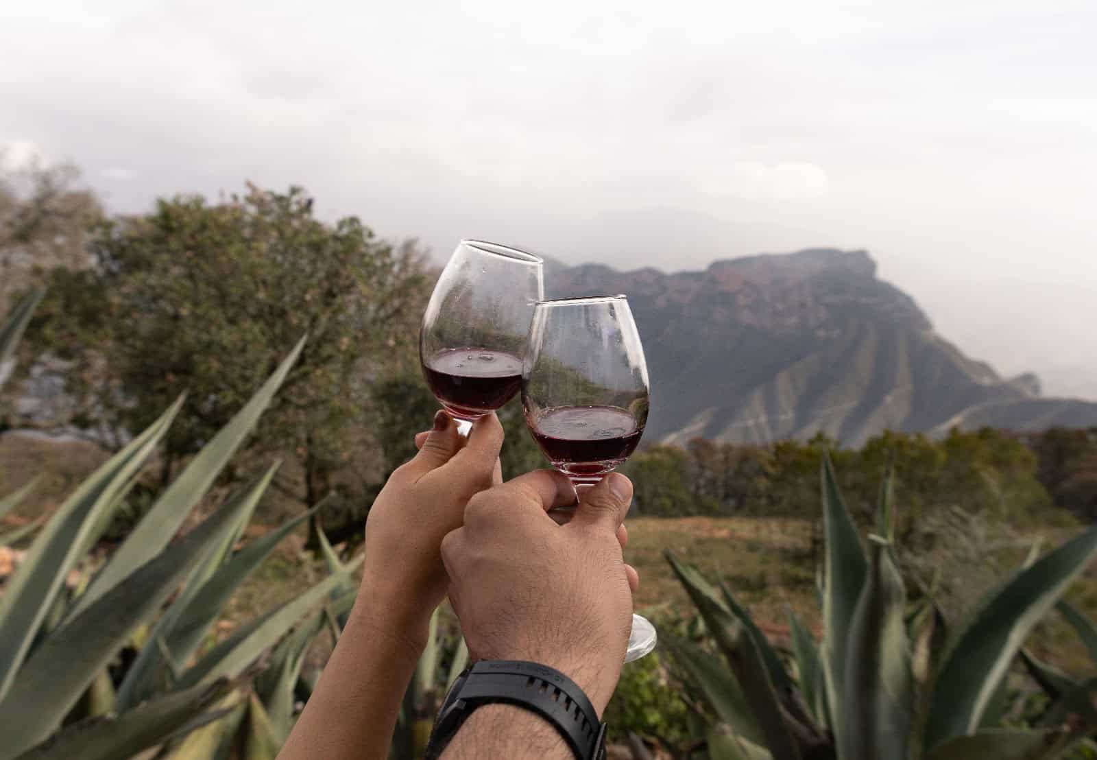 These small ceremonies also create communities through tea clubs, cupping circles, wine societies, festivals and workshops. Image courtesy: Josué Rodríguez, Pexels