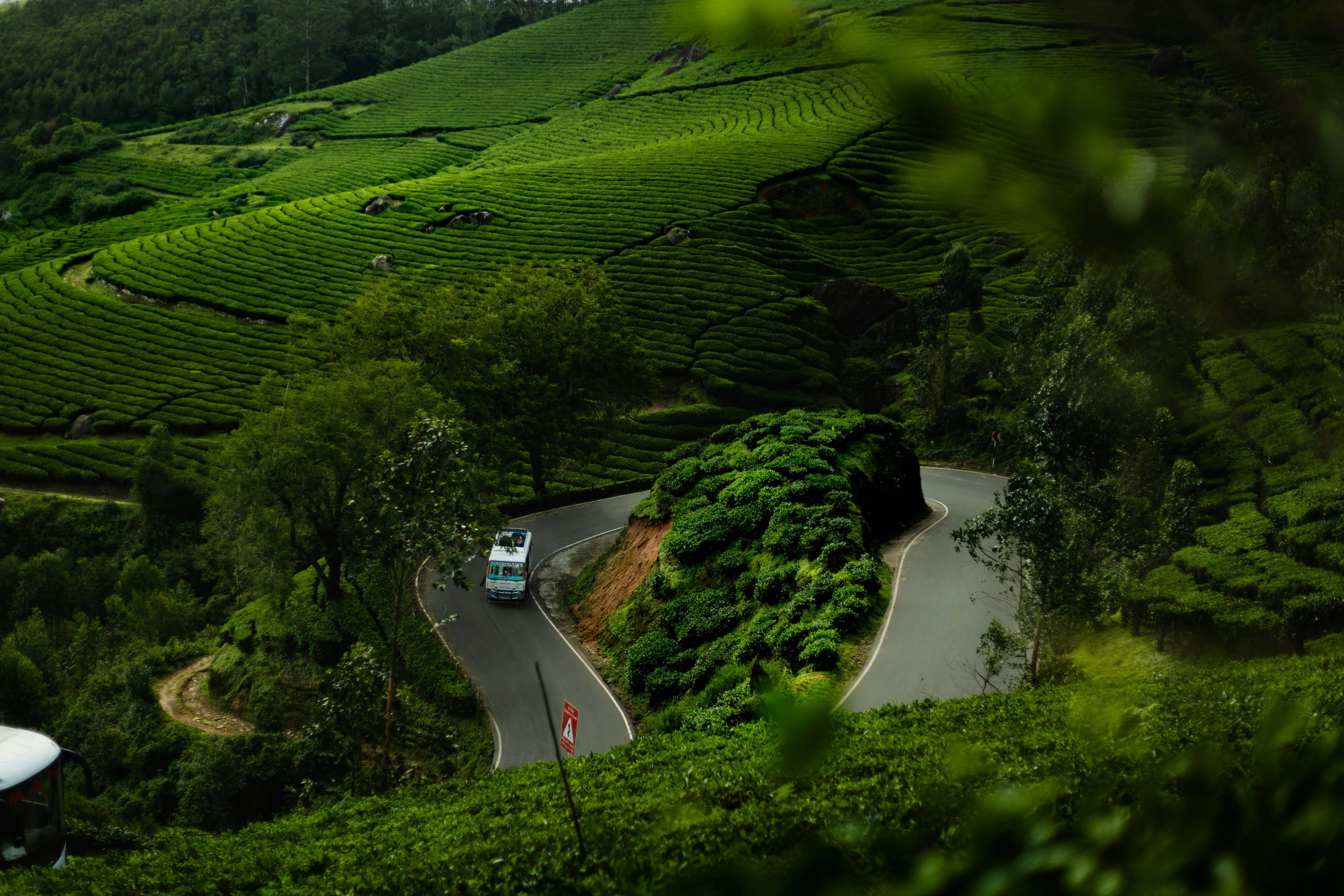 | SBM Global News Wayanad Kerala Image courtesy Adnan Saifee Unsplash Wayanad itinerary