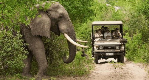 South Africa makes travel easier with a 48-hour ETA Visa for eligible Indian Travellers