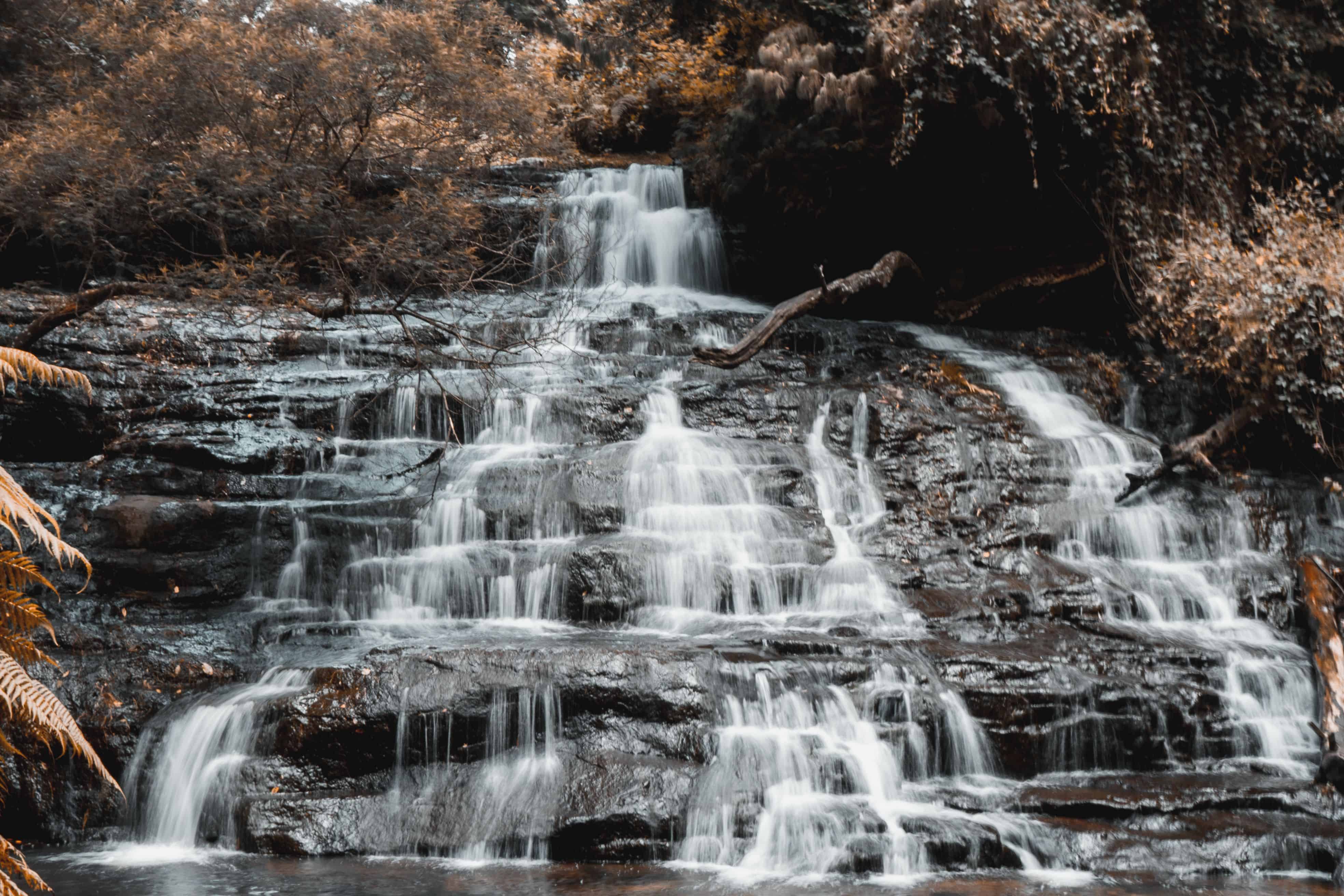 Bear Shola Falls is seasonal and becomes more attractive after rain. Image courtesy: Kavin Narain, Pexels