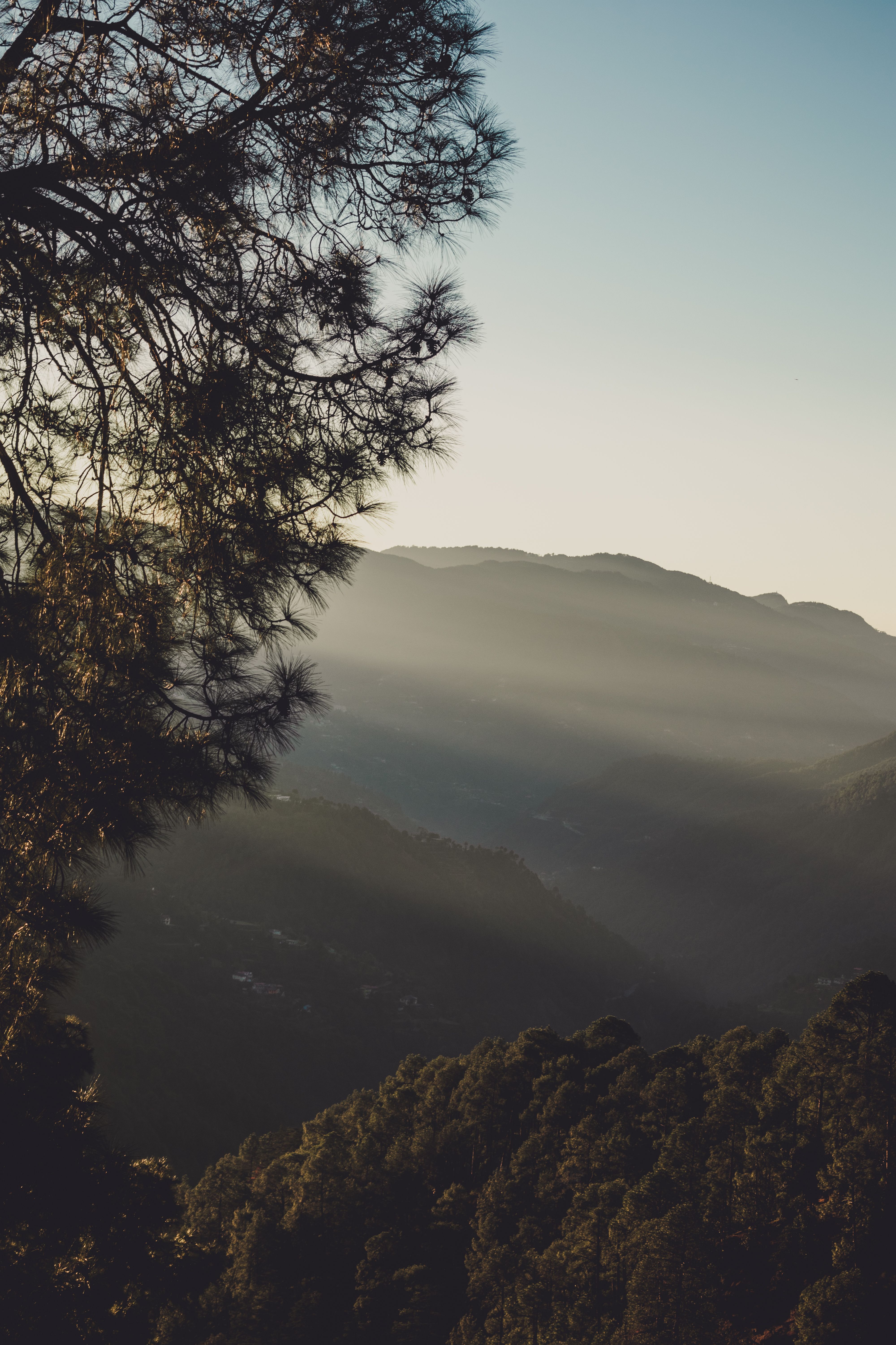 View in Shimla at dawn. Image courtesy: Abhinav Joshi