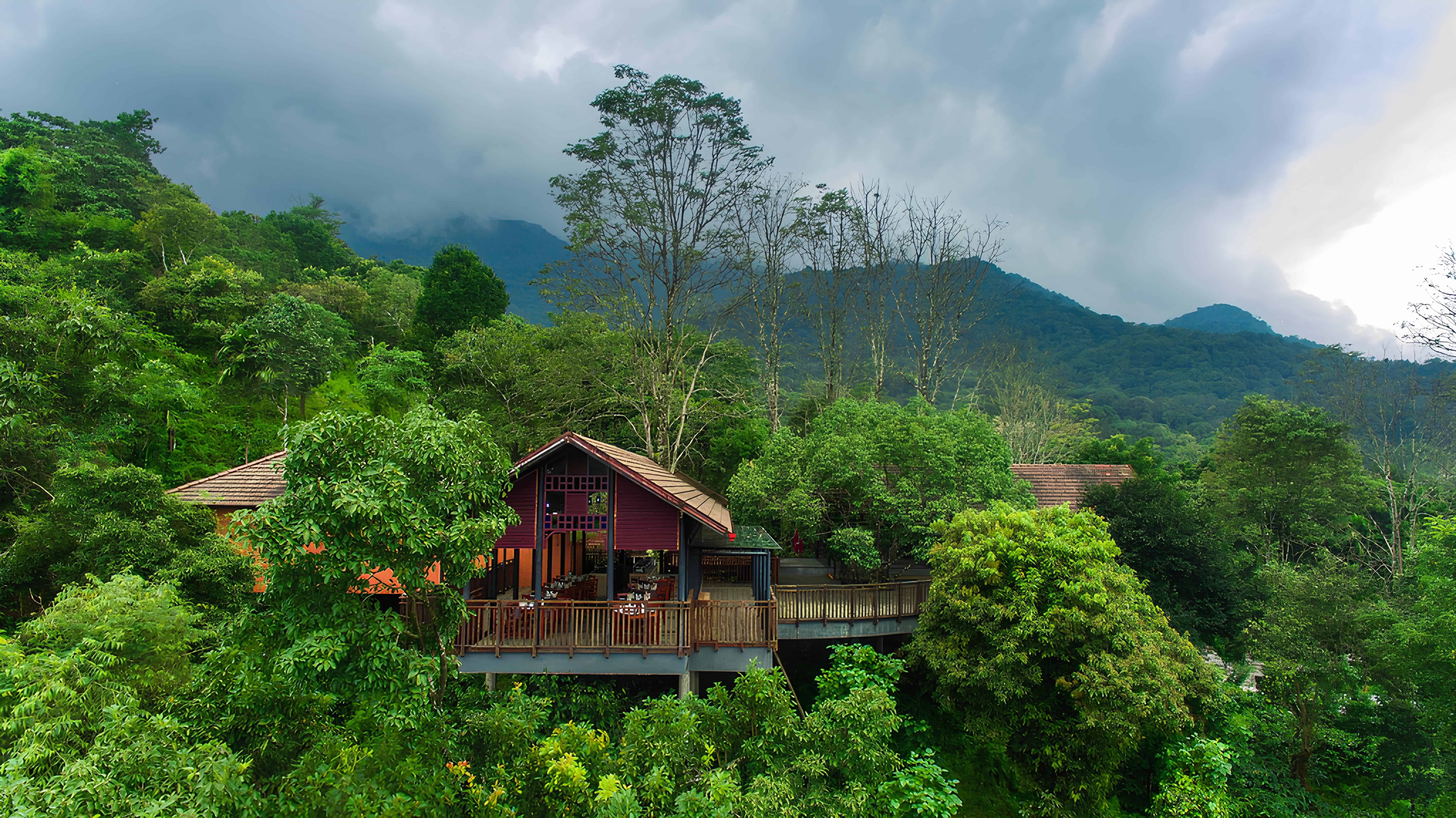 | SBM Global News Vythiri is the go to place if you are looking for a resort stay or lush greenery Image courtesy Vythiri Mist Resort