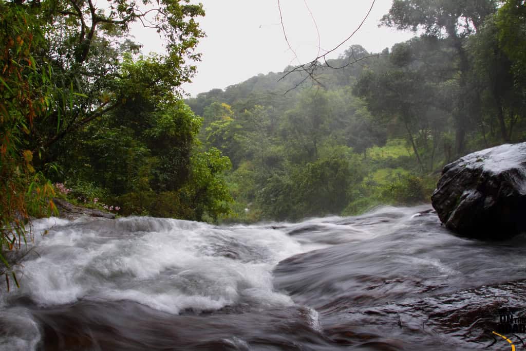 A mountain stream at Coorg