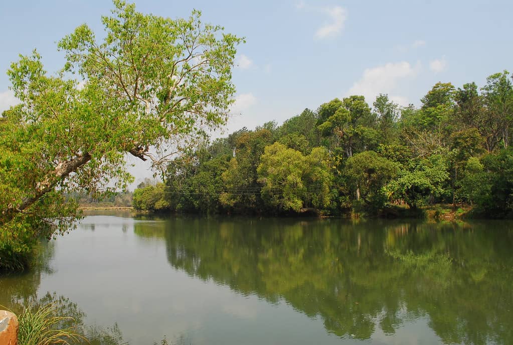 River Kaveri in Coorg