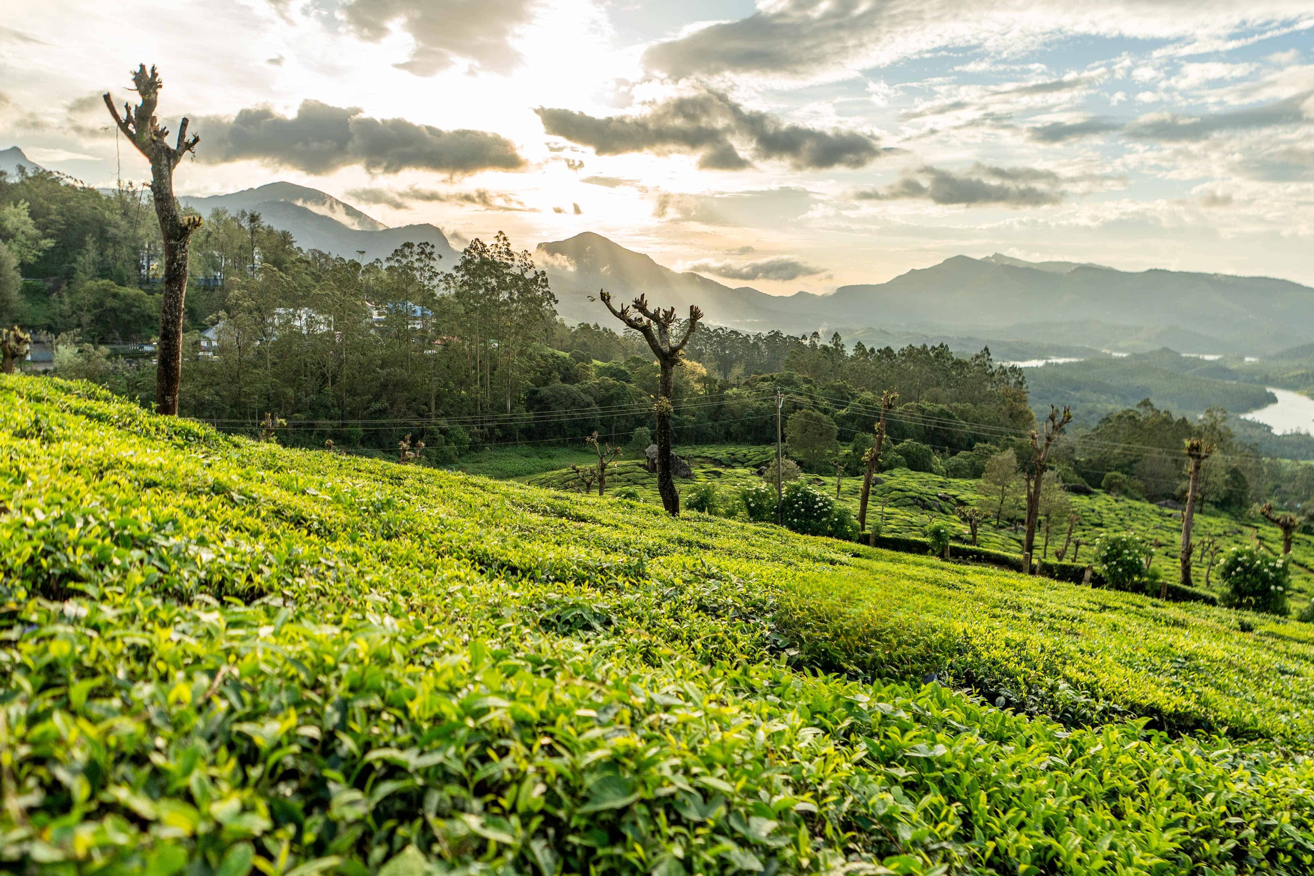 relaxed evenings make the trip feel personal and unhurried.
