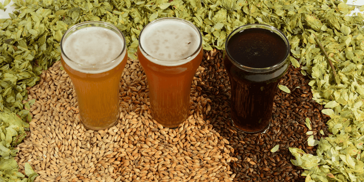 Image courtesy: New Trail Brewing Co.