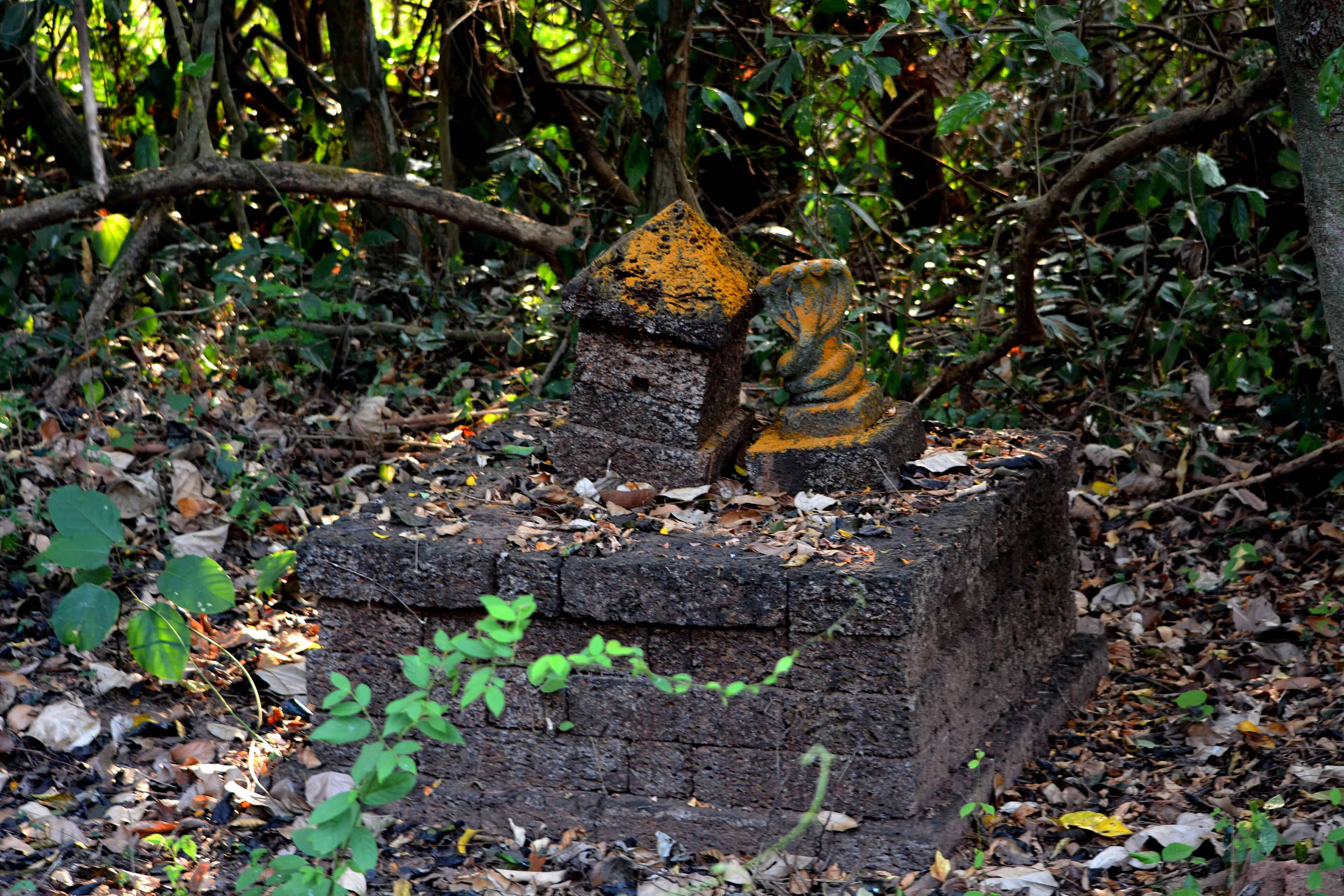 Sarpakkavu in Taliparamba, Kerala. Image Courtesy: Wikimedia Commons