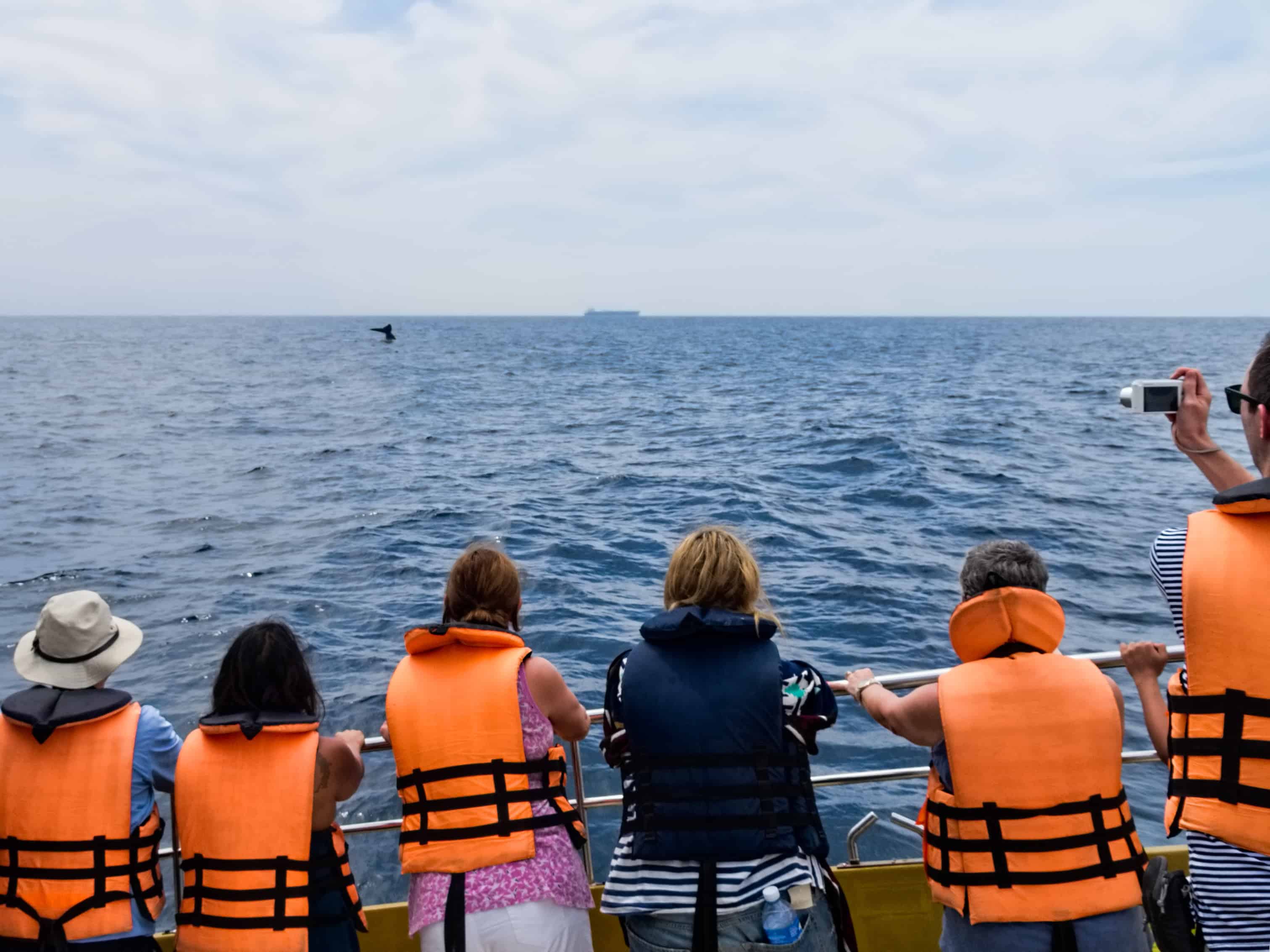People watching a blue whale in Mirissa. Image Courtesy: WIkimedia Commons